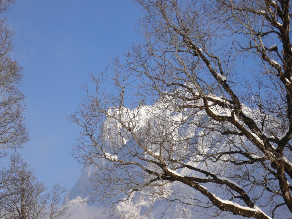 Lehmann'S Herberge Hostel Grindelwald Pokoj fotografie