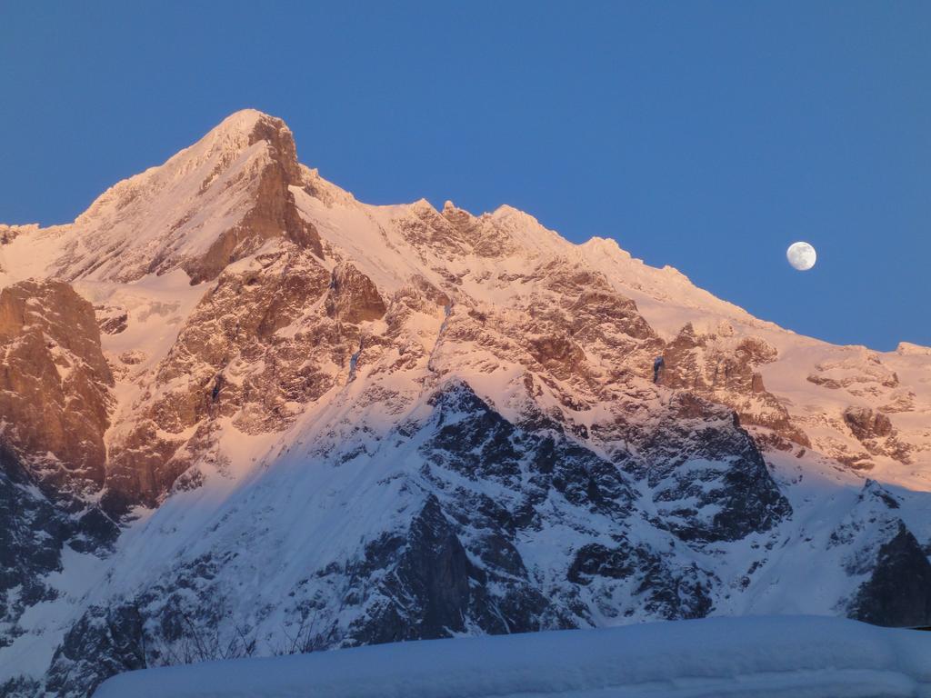 Lehmann'S Herberge Hostel Grindelwald Exteriér fotografie