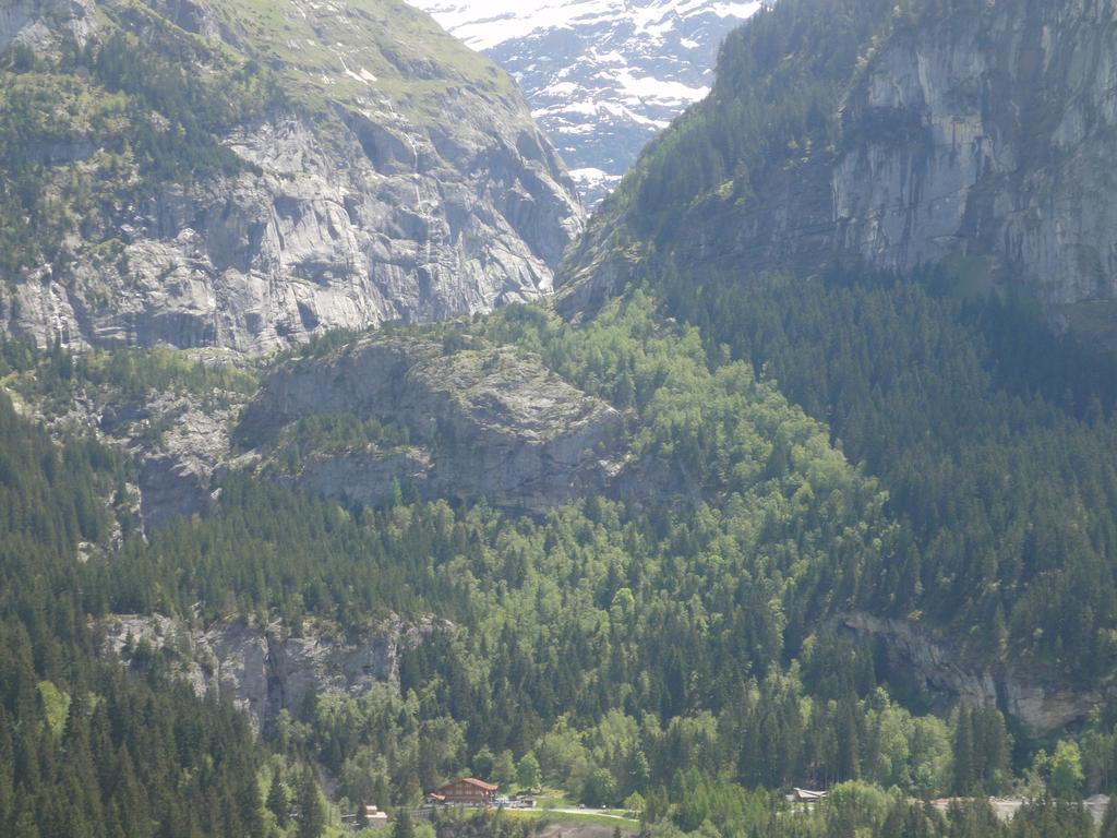 Lehmann'S Herberge Hostel Grindelwald Exteriér fotografie